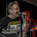 Click to enlarge GutterPunk - Professional Concert Photography